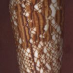 Conus bengalensis Okutani, 1968...103mm. Strong colors and patterns. - A handsome shell!! ..India.