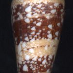Conus ammiralis Linne, 1758...67.5mm. ..Thailand.