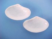 (2) Mactra fragilis Gmelin, 1791....38 to 46 mm. F+. Adult examples of this delicate specie...Florida...$4 (2 available)