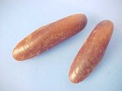 (1) Lithophaga nigra Orbigny, 1842....27 mm. F++. Good example of this dark brown rock & coral borer...Caribbean...$5 (1 available)