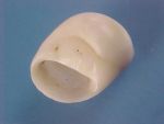 (2) Polinices tumidus Swainson, 1840....26 mm. F++.  Somewhat elongated, with heavy parietal callus, from a hard locality...Somalia...$3 (2 available)